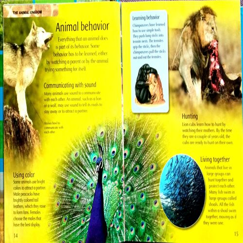 Children's Animal Encyclopedia