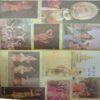 Nandan (December-1995).(Cut In Back Cover).