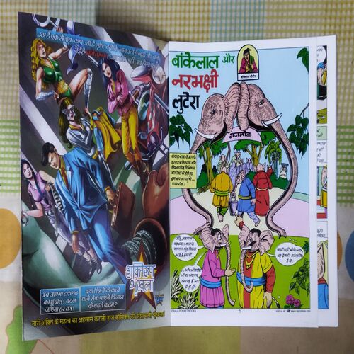 BANKELAL AUR NARBHAKSHI LUTERE