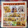 CHACHA CHAUDHARY-7