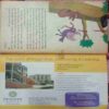 Champak ( August-2nd-2010 ) Small