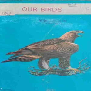 Our Birds