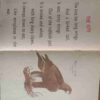 Our Birds