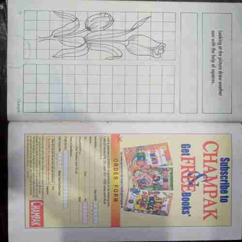 Champak (July 1st 2005  )