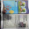 Champak ( April 1st 2017 ) (Big)