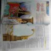 Nandan  (  May 2018 )