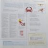 Oxford English Dictionary