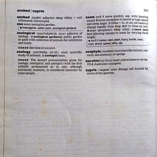 Oxford Dictionary & Thesaurus 3