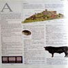 Illustrated Oxford Dictionary