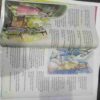 Champak (January 2nd 2018  ) (Big)( Front Cover little Cut at bottom side )