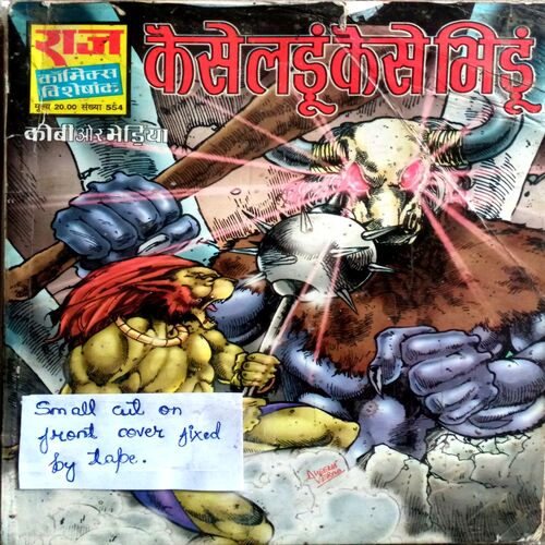 Kaise Ladu  Kaise Bhidu