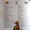 100 Ques And Ans. Dinosaur