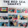 Adventures Of Tintin (Red Sea Shark)