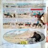 Tintin In Tibet
