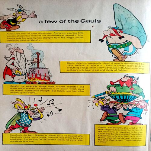 Asterix And The Soothsayer