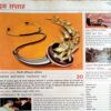 India Today (23 Feb 2004)