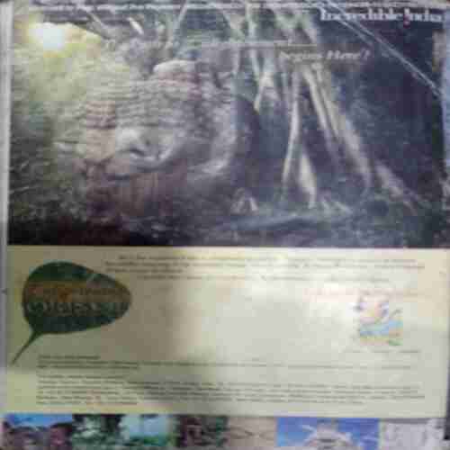Champak ( March 2nd 2009 )