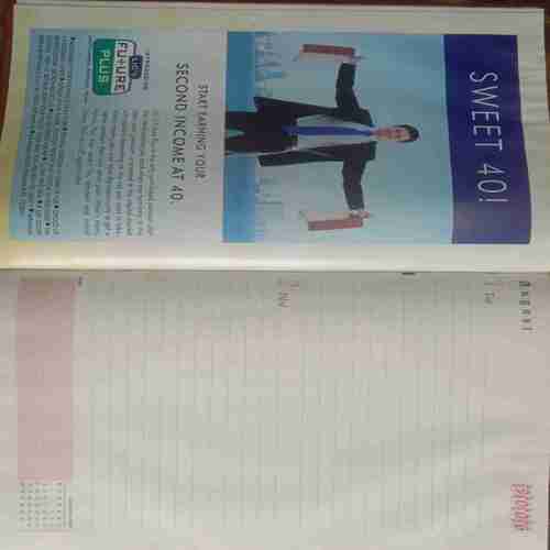 LIC Diary (2006)