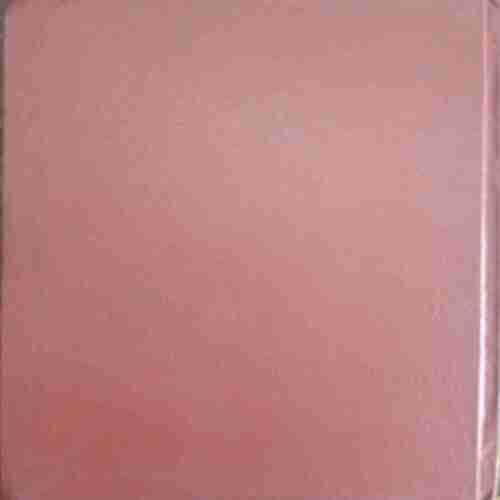 LIC Diary (2006)