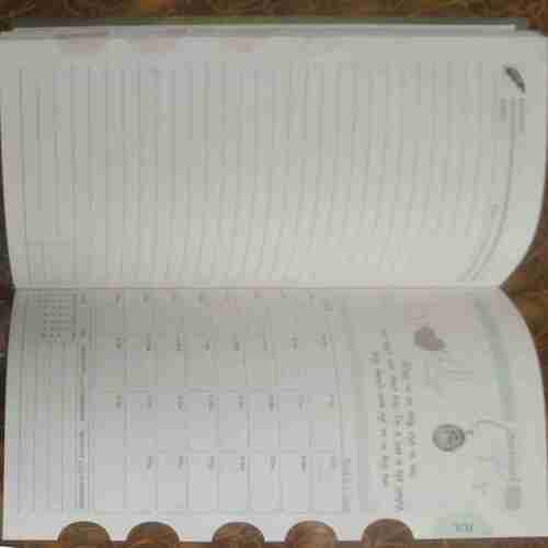 Diary (2010)