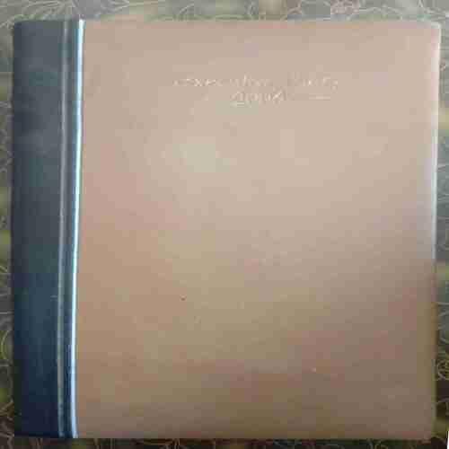 Executive Diary (2006)