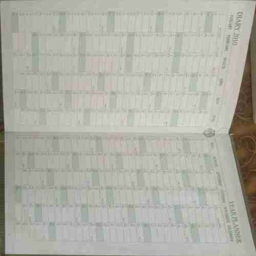 Diary (2010)