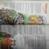 Champak (May 2nd 2017  ) (Big)