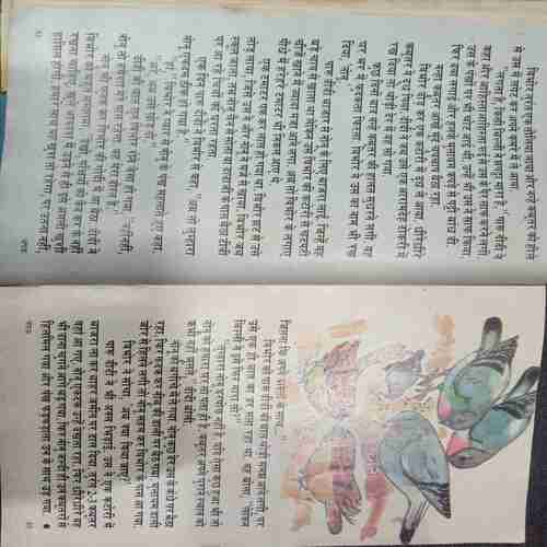 Champak (July 1st 1995  )