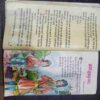 Champak ( Jan 2nd 1995  )