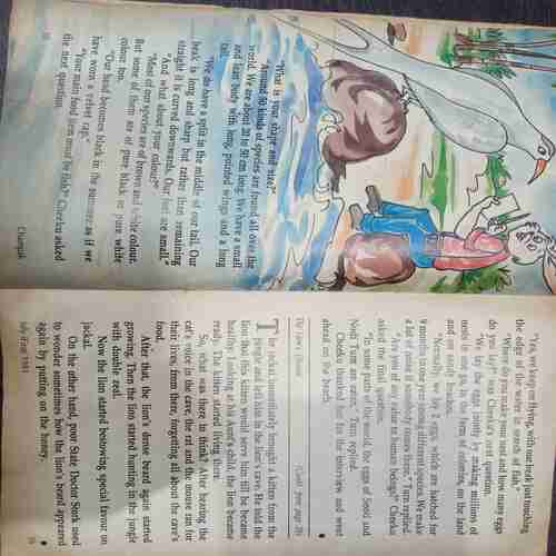 Champak ( July 1st 1991)