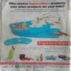 Champak (May-1st-2017) Big