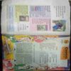 Champak (January 1st 2005 )