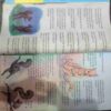 Champak (March 2nd 2018 ) (Big)