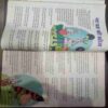 Champak (July 2nd 2017) (Big)