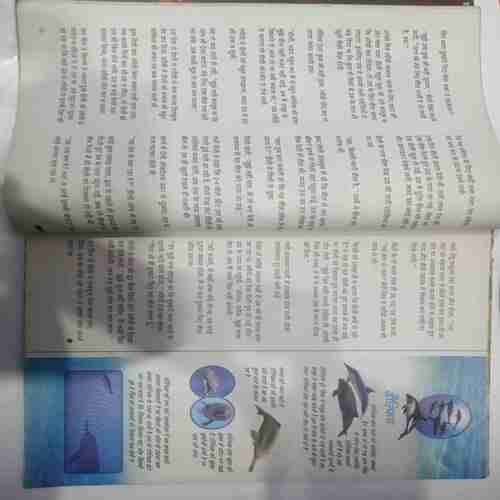 Champak (  April 2nd 2012) (Big)