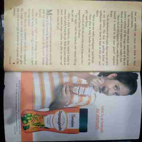 Champak ( May 1st 2004  )