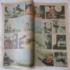 Khatarnaak Taapu .( Front Cover Half Cut ) .