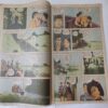 Khatarnaak Taapu .( Front Cover Half Cut ) .