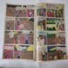 Rahasyemayi Bagh Kanya . ( Front & Back Cover Missing , First pages Border Side Damage story Only Page No.01 And Magic Tape Used ).