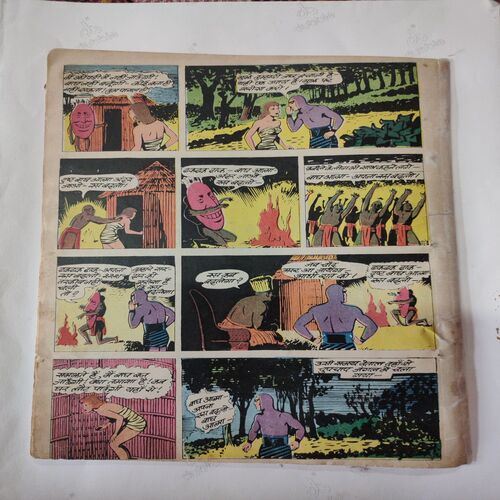 Rahasyemayi Bagh Kanya . ( Front & Back Cover Missing , First pages Border Side Damage story Only Page No.01 And Magic Tape Used ).