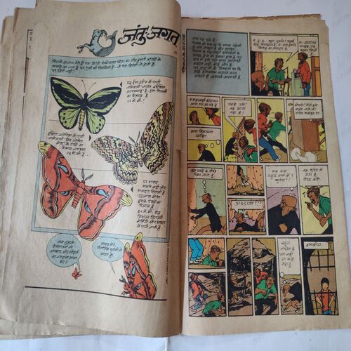 Amaland Ki Hamlwar .( Part - 02 ). [ Spine Cut But Not Impact In Story ].