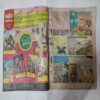 Shaitaano Ka Top Ram-Rahim .( First and back few pages are confair pintide and magic tape used And Not impact in story ) .