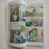 ( 3 In 1 Single Binding ) :- The Mughal Court  .[ 1.) Noor Jahan , 2.) Kohinoor And 3.) Dara Shukoh And Aurangazeb ].
