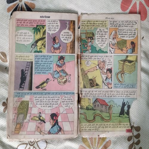 BAUNE KA VRADAAN (FRONT COVER RIGHT CORNER SIDE LITTLE CUT AND BACK COVER RIGHT CORNER SIDE LITTLE CUT)