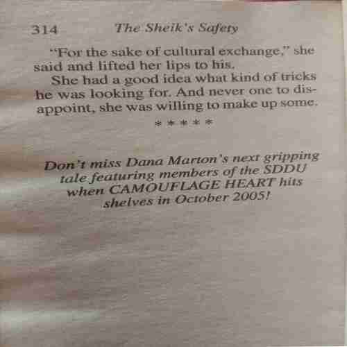 The Sheik's Safety