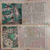 Gudiya (August 1989)