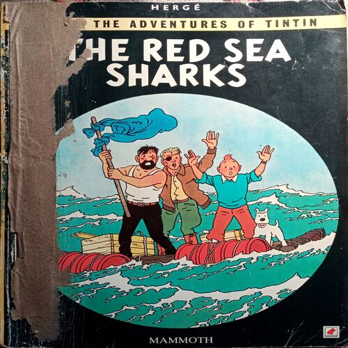 The Red Sea Shark
