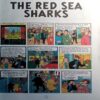The Red Sea Shark