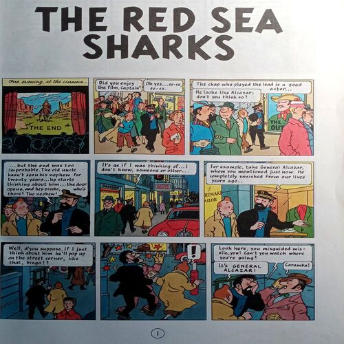 The Red Sea Shark