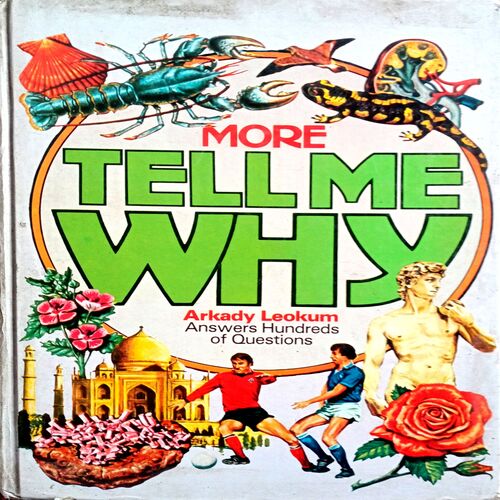 More Tell Me Why
